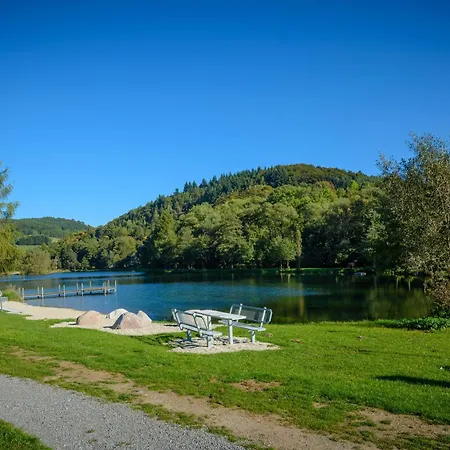 Hirsch * Willingen (Upland)