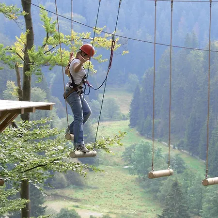 Hirsch Willingen (Upland)