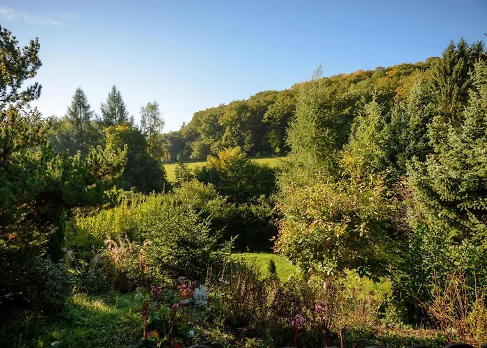 Prázdninový dům Hirsch Willingen (Upland)