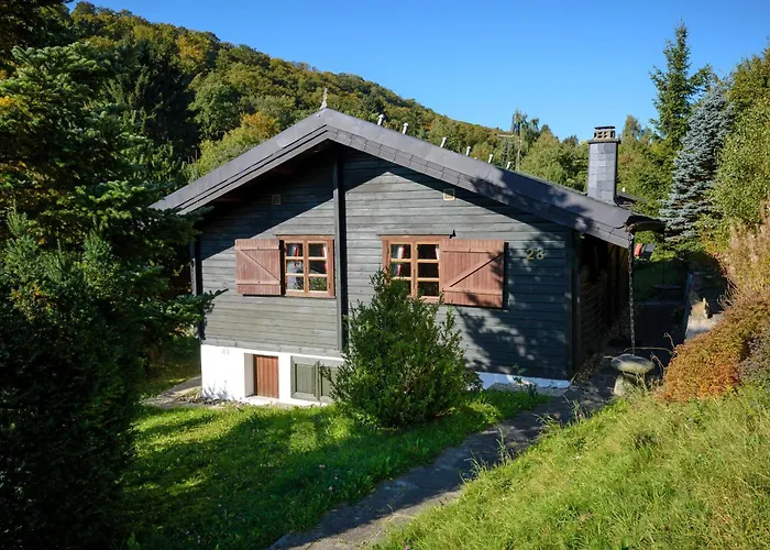 Prázdninový dům Hirsch Willingen (Upland)