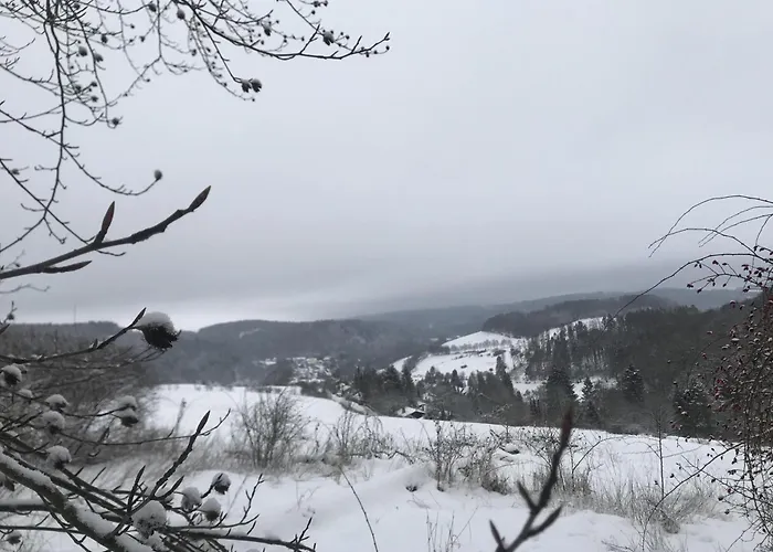 Hirsch Prázdninový dům *