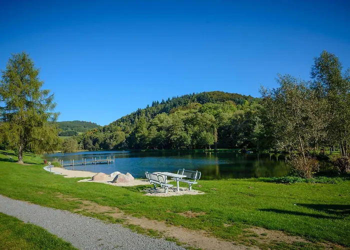 Prázdninový dům Hirsch Willingen (Upland)