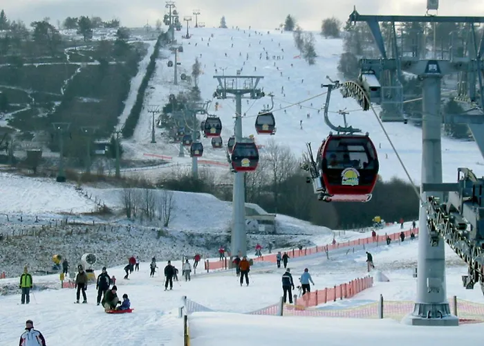 Hirsch Prázdninový dům Willingen (Upland)